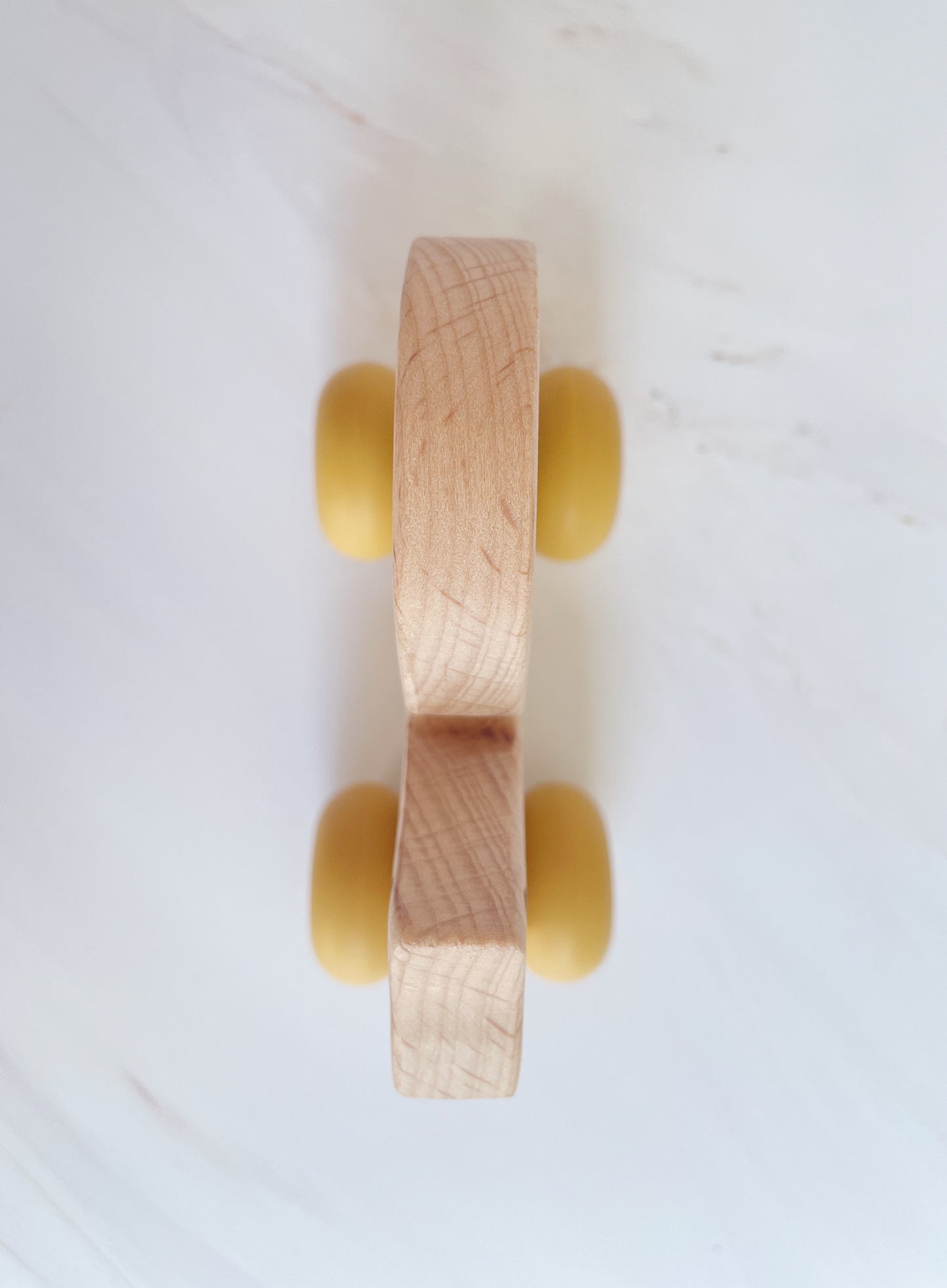 Little Yellow Racer Squirrel